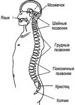 Медитация 