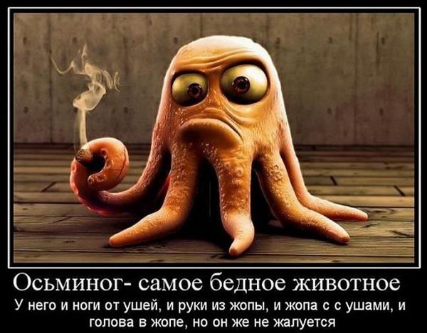 Демотиваторы против стресса