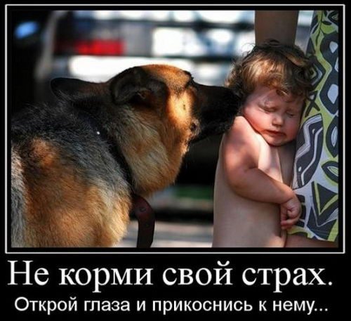 Демотиваторы против стресса