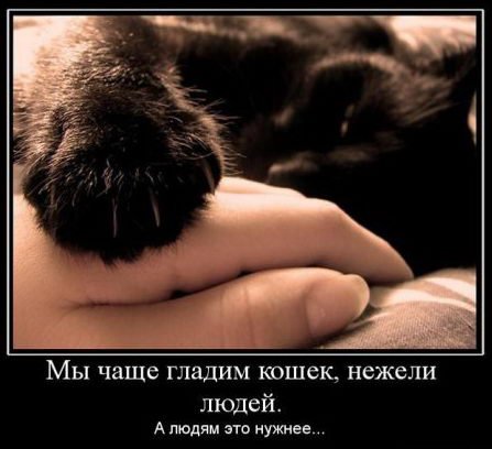 Демотиваторы против стресса
