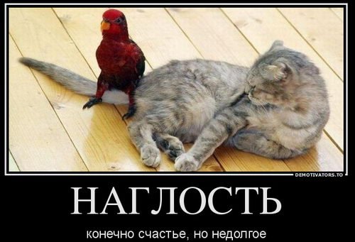 Демотиваторы против стресса
