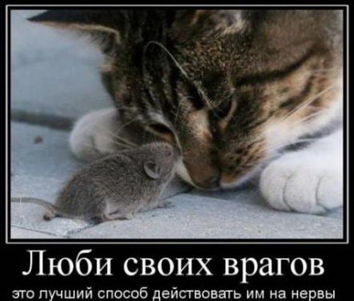 Демотиваторы против стресса