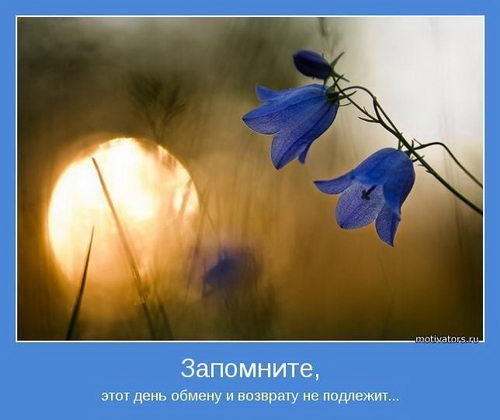 Мотиваторы к счастью