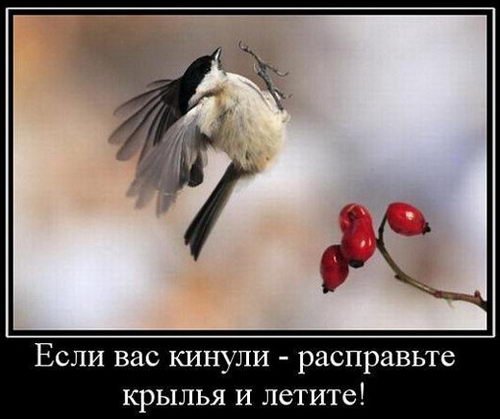 Мотиваторы к счастью
