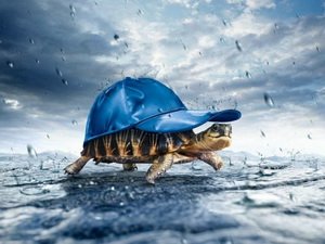 Почему не исполняются желания?
