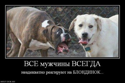 Вы ВСЕГДА думаете в свою пользу?