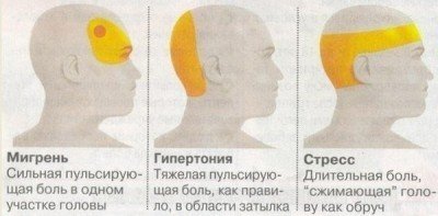 Новая медицина - новое качество жизни