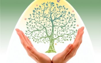 Как вернуть утраченное здоровье?