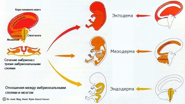 Болезнь или восстановление?