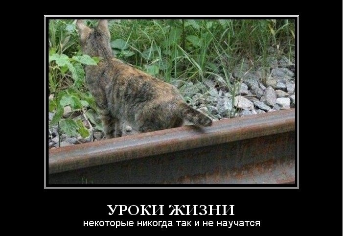 Как создать лучшее будущее