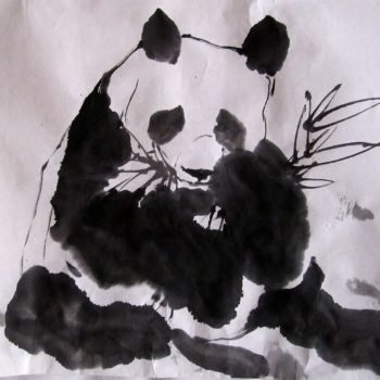 panda