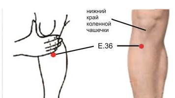 Две волшебные точки для здоровья и долголетия